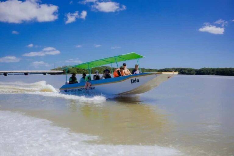 Celestún Flamingos, Beach, and Seafood Tour, leaving from Merida - What to Expect on This Tour