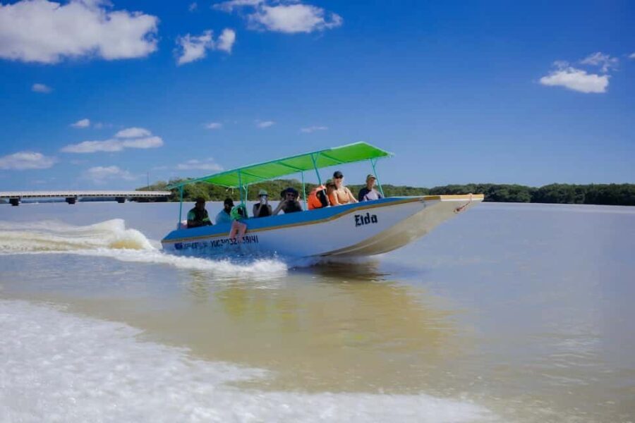 Celestún Flamingos, Beach, and Seafood Tour, leaving from Merida