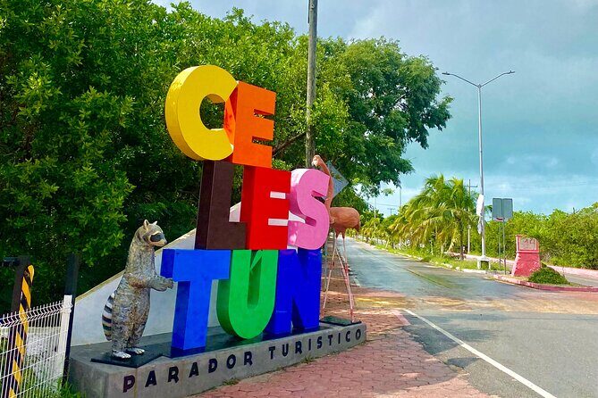 Celestun Flamingos Beach & Seafood Tour departure from Merida - What Travelers Are Saying