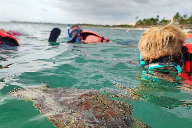 Cenote and Swimming with Turtles Private Tour in Akumal - What’s Included and What’s Not