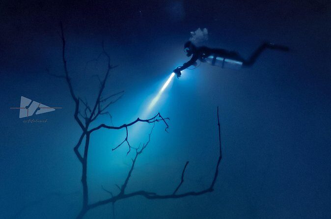 Cenote El Pit and Dos Ojos Dive Trip - Practical Details & Tips