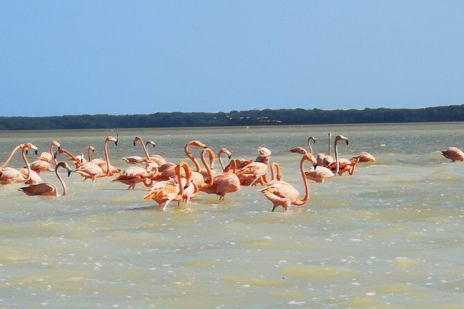 Cenote Suytun & Rio Lagartos & Las Coloradas - Final Thoughts