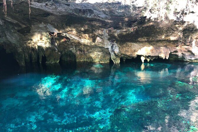 Cenote Triple Adventure Tour in Tulum - What to Expect from the Cenote Triple Adventure Tour