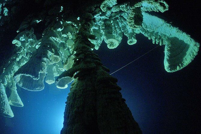 Cenotes 2-Tank Dive in Playa del Carmen/for certified divers only - The Pluses: What We Love About This Tour