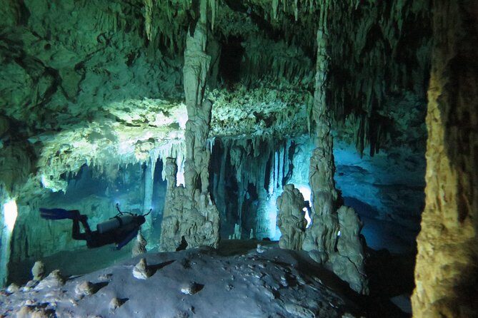 Cenotes diving Dos Ojos and The Bat Cave - Authentic Insights from Past Travelers