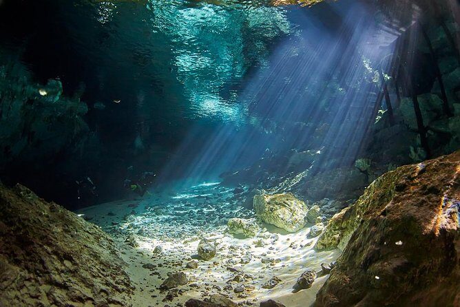 Cenotes diving from Riviera Maya - A Closer Look at the Itinerary and Sites