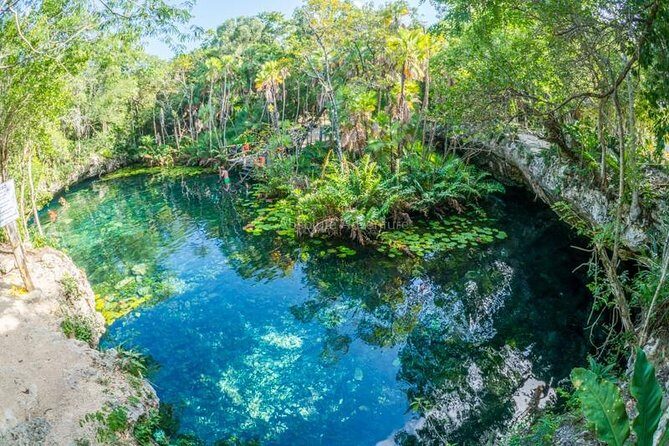 Cenotes Taak Bi Ha & Nicte Ha VIP Snorkeling Private Tour - A Closer Look at the Tour Itinerary