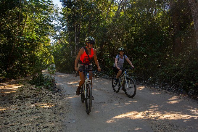Cenotes trail jungle bike tour in Tulum with lunch - What Travelers Are Saying