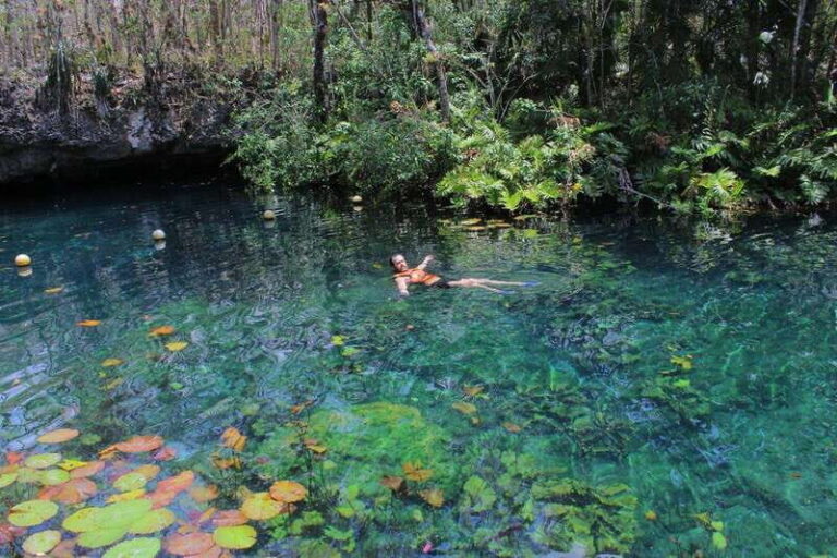 CENOTES TULUM/AKUMAL: 4 Cenotes in Mayan community and snorkeling with turtles - Adventure Activities at Each Cenote