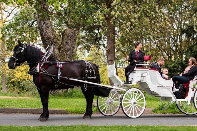 Central Park and NYC Private Horse Carriage Ride - A Balanced Perspective: Pros and Cons
