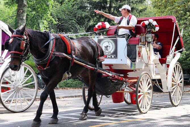 Central Park Carriage Ride w/ Drop Off @ Tavern On Green (45 min) - Details That Matter