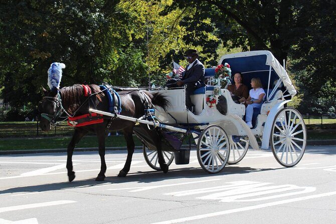 Central Park Horse Carriage Ride - The Sum Up: Is It Worth It?