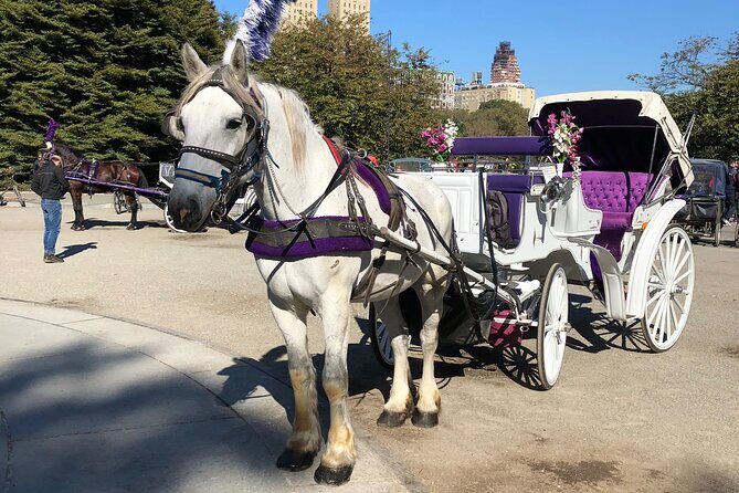 Central Park Horse Carriage Rides Since 2005 - The Itinerary: What You Will See