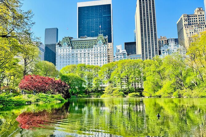 Central Park Pedicab Rides - What to Expect During Your Pedicab Ride