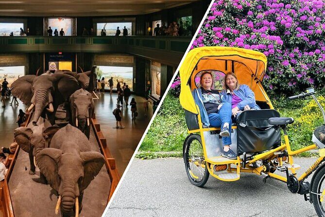 Central Park Pedicab Tour with Natural History Museum Access - A Walkthrough of the Itinerary