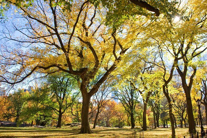 Central Park Photography Tour with Local Photographer - The Value of Expert Guidance