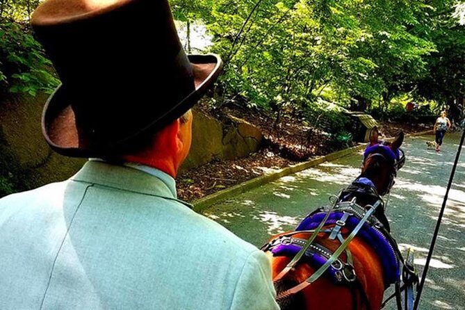 Central Park Private Horse and Carriage Tour - Is This Tour Right for You?