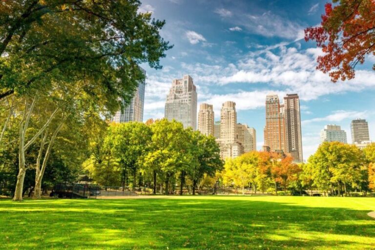 Central Park Private Walking Tour with Transfers - Why Choose This Tour?