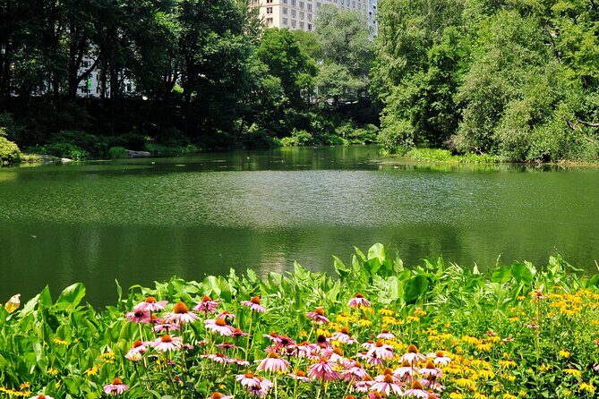 Central Park Scenic Walk with Local Guides - What Makes the Guides Special?