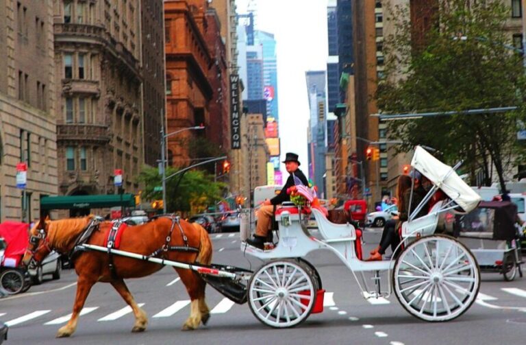 Central Park: Short Horse Carriage Ride (Up to 4 Adults) - Photo Stops and Personal Touch