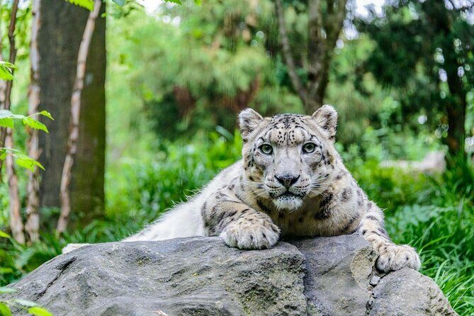 Central Park Zoo Admission Ticket with 4D Theater Access - The Itinerary in Detail