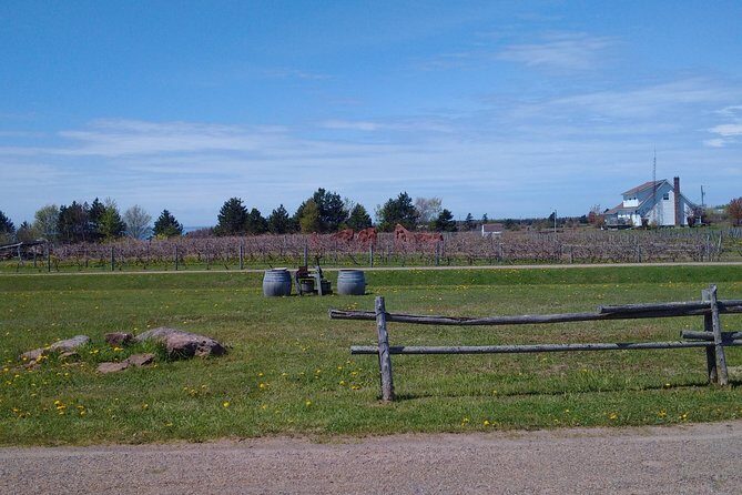 Central PEI Winery, Apiary and Mead Tasting Tour - About the Price and Value