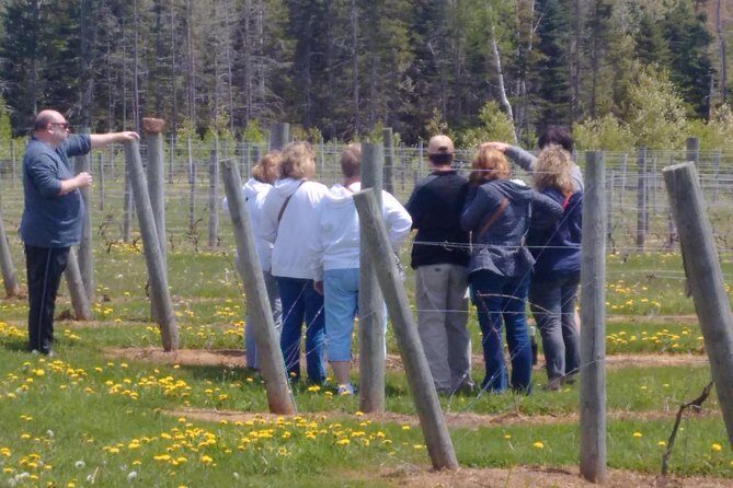 Central PEI Winery, Brewery, and Distillery Tasting Tour DE Force - Authentic Insights from Reviews