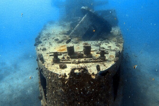 Certified Diver: 2-Tank Deep Wreck and Shallow Reef Dive Off Oahu - What Makes This Tour Stand Out?