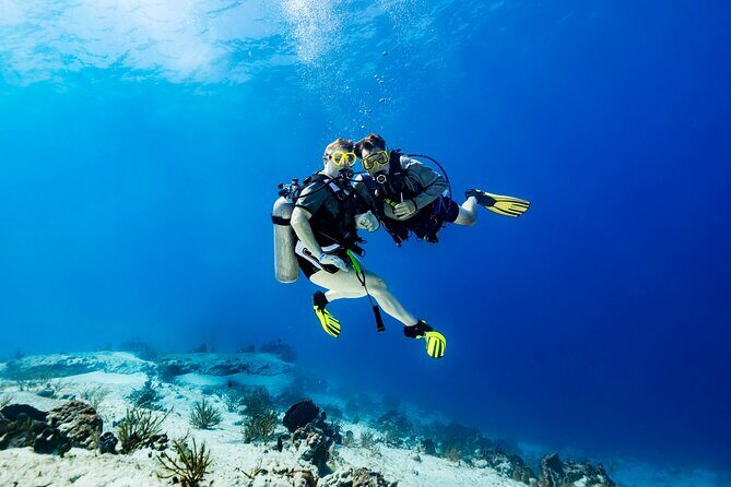 Certified Diving 2 Tanks in Cozumel - The Sum Up: Why Choose This Cozumel Dive Experience?