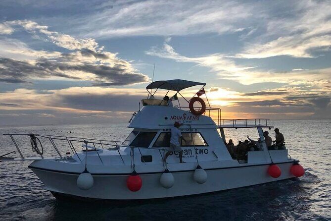 Certified Diving Experience in Cozumel - What Makes This Tour Special