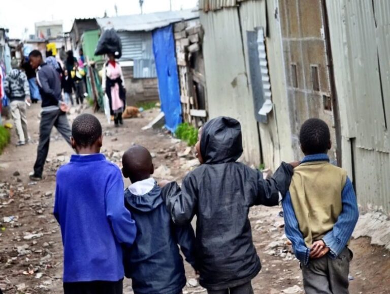 Chameleon Tour  An Authentic Township Cultural Experience - Who Should Take This Tour?