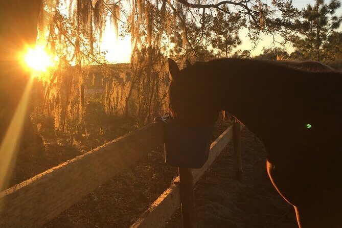 Champagne and Charcuterie Sunset Trail Ride - The Itinerary in Detail