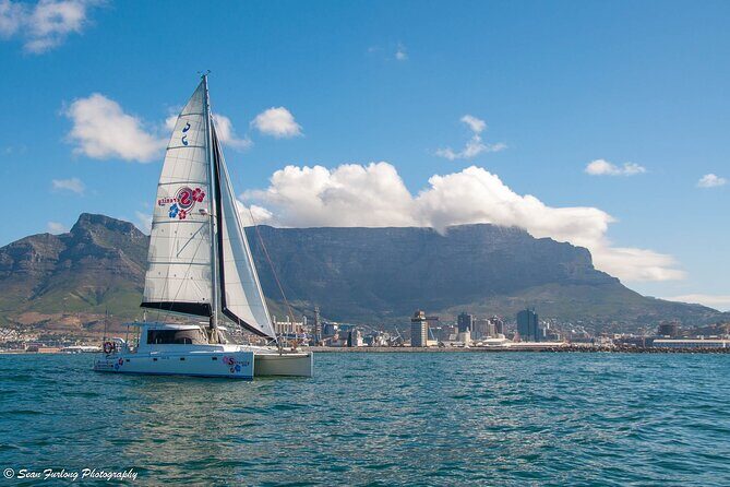 Champagne Cruise (Pre-Sunset) from Cape Town - A Closer Look at the Champagne Cruise Experience