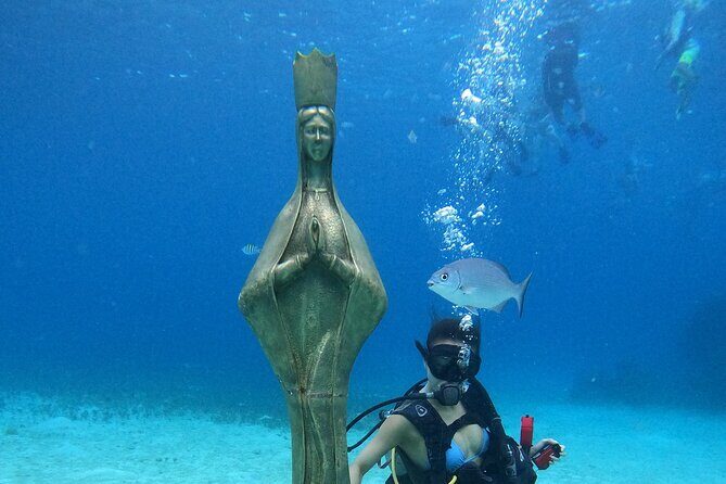 Chankanaab Park Admission +Snorkeling + Lunch included - The Experience: Pros and Cons