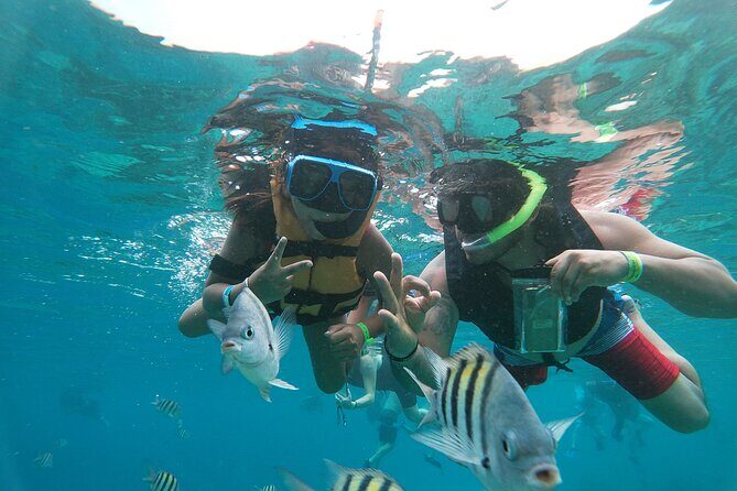 Chankanaab Park Admission + Welcome drink + Snorkeling - Snorkeling Experience: What You’ll Really Get