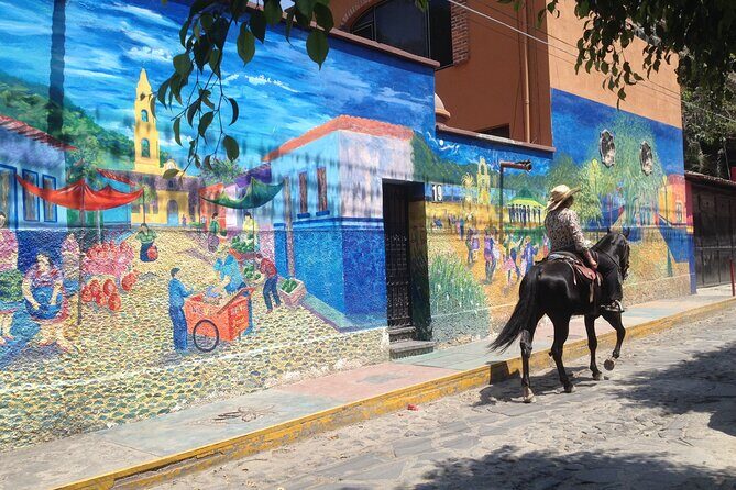 Chapala and Ajijic Private Full-Day Tour - What the Tour Offers in Practical Terms
