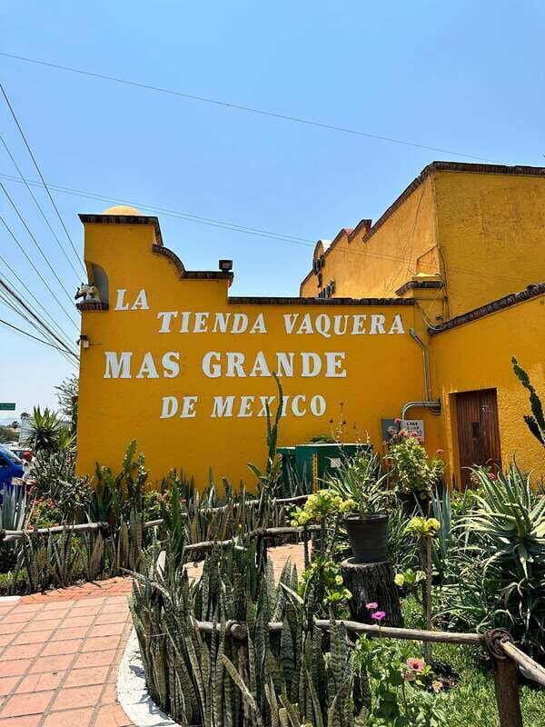 Chapala and Ajijic Tour from Guadalajara with 3 Potrillos - What the Tour Includes and What It Doesn’t