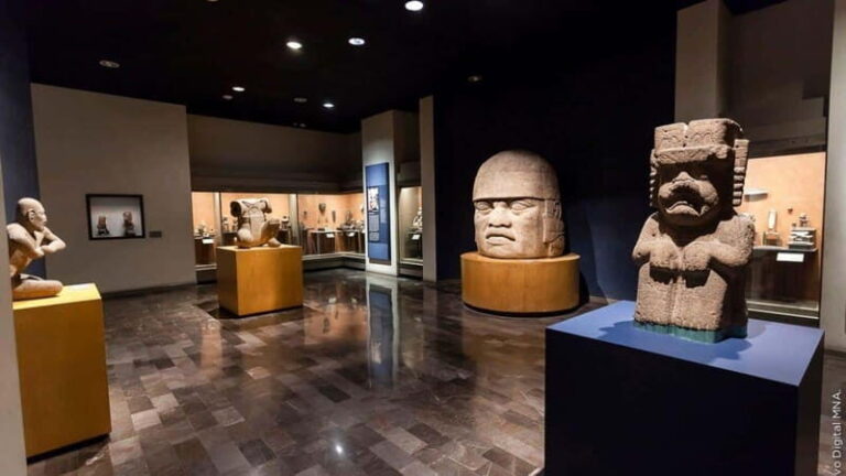 Chapultepec Museum: Plus Anthropology Museum Tour - The Value of Guided Tours at These Sites
