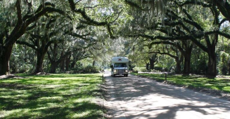 Charleston: Boone Hall Plantation Entry & Tour w/ Transport - An In-Depth Look at the Tour Experience