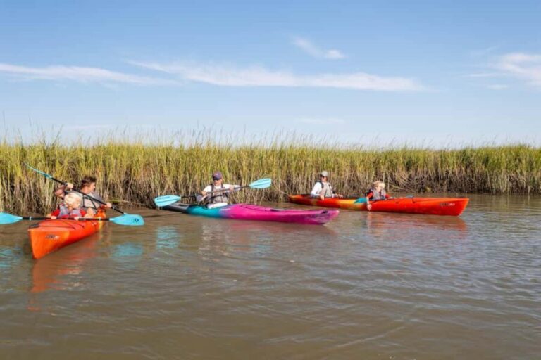 Charleston: Folly Beach Morning Kayak Dolphin Safari - Final Thoughts: Is It Worth It?
