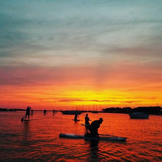 Charleston: Folly Beach Stand Up Paddleboard Dolphin Safari - Who Will Love This Tour?