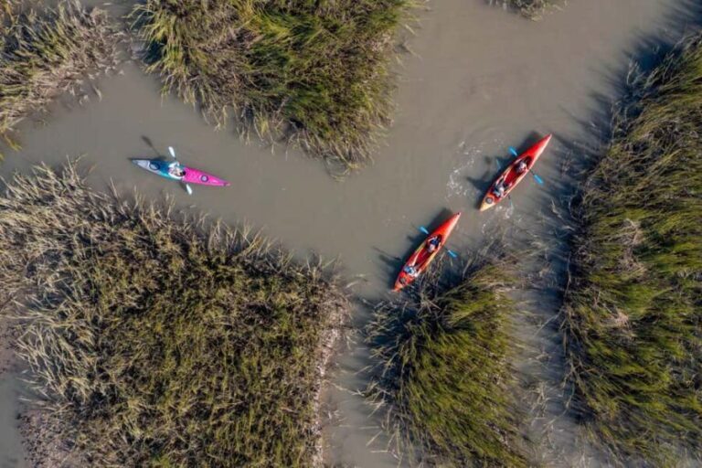 Charleston: Folly River Sunset Kayak Dolphin Safari - Who Will Love This Tour?