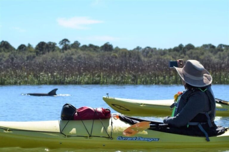 Charleston: Guided 2hr. Kayak Tour with a Tandem or Single - An Authentic Look at the Kayak Tour