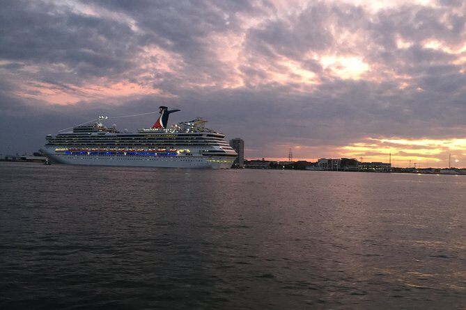 Charleston Harbor Sunset Cruise - Wildlife and Natural Encounters
