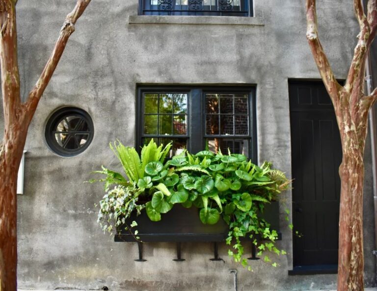 Charleston: Hidden Alleys and Historic Sites Walking Tour - An In-Depth Look at the Experience