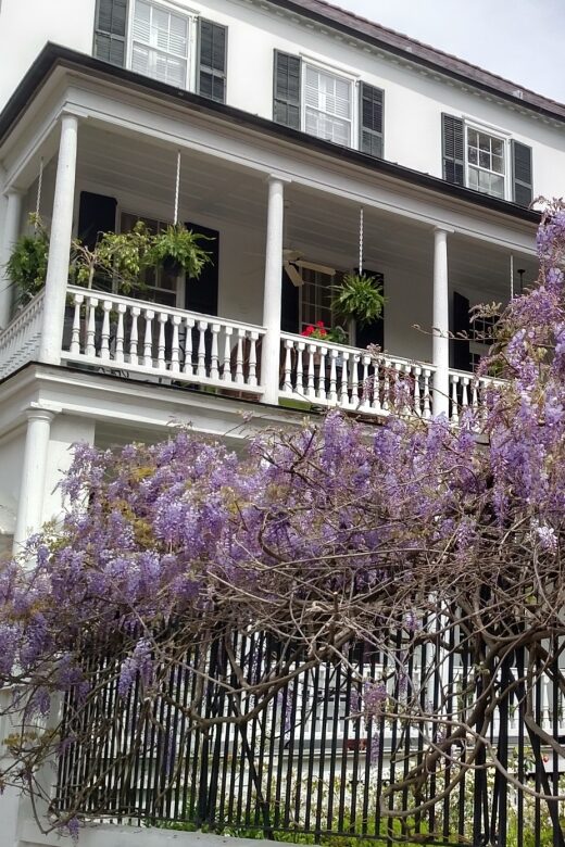 Charleston: Historical Walking Tour with Storytelling - The Practicalities