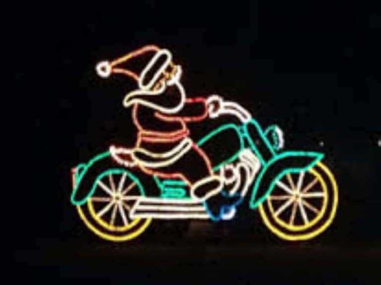 Charleston: Holiday Festival of Lights Tour with S'mores Kit - The Value and What It Means for Your Trip