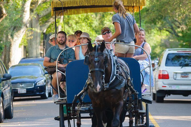 Charleston Horse & Carriage Historic Sightseeing Tour - The Sum Up