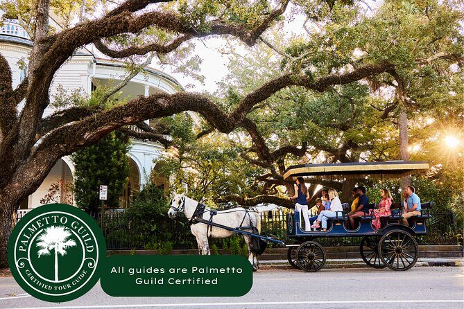 Charleston Horse-Drawn Carriage Tour: Explore Historic Charleston - What You’ll See & Learn
