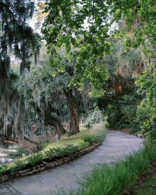 Charleston: Magnolia Plantation & Gardens Guided Tour - Who Will Love This Tour?